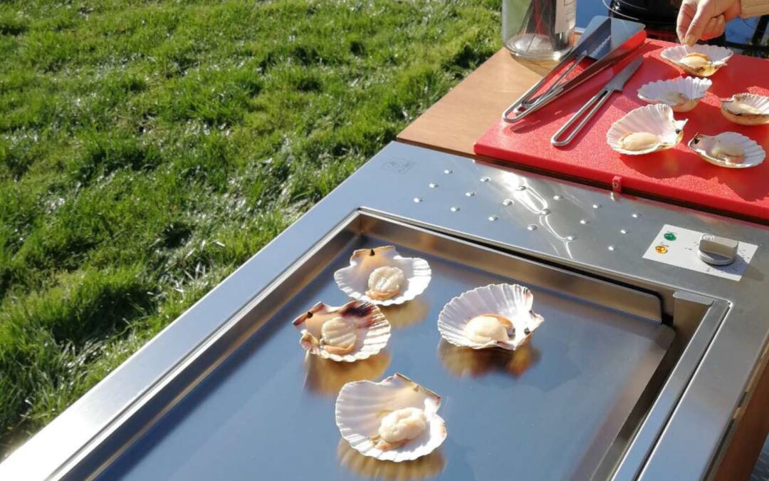 How to choose your outdoor kitchen?