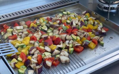 What are the best appliances for outdoor kitchens?
